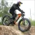 Read more about electric dirt bikes