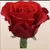 Read more about A rose for my savior