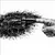 Read more about Fingered