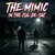 Read more about The Mimic in the Cul-de-Sac (Part 2)