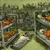 Read more about prison death