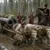 Read more about How a clerk's greed doomed Ivan the Terrible's Lithuanian campaign