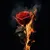 Read more about Eden Burned Early