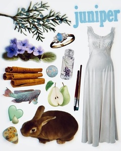 Juniper