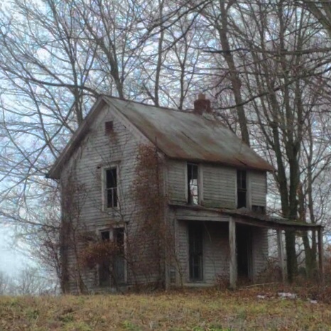 the house banner image