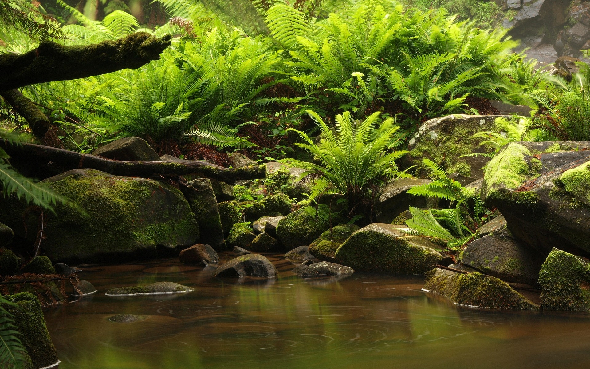 Bianda  banner image