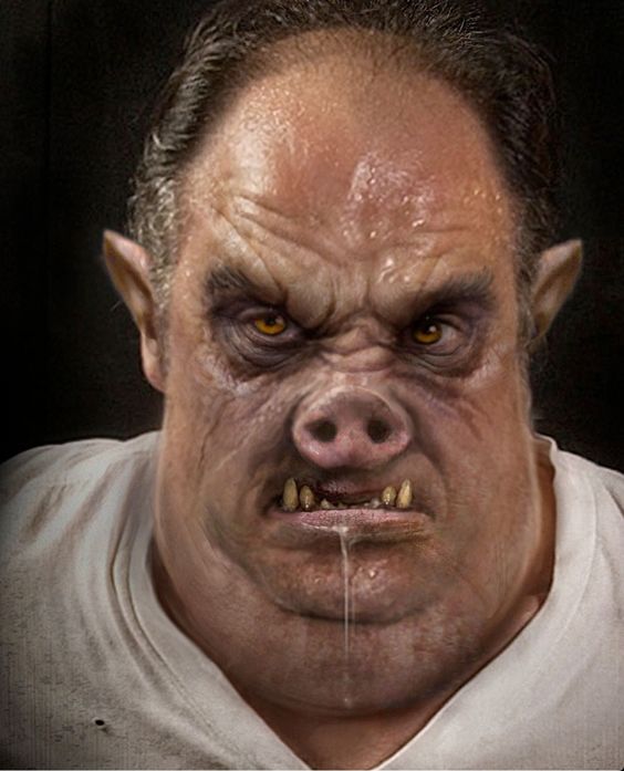 "Papa" banner image
