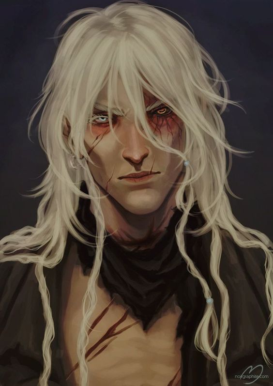 Lycus Snow banner image