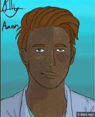 Aaron Skyler  banner image