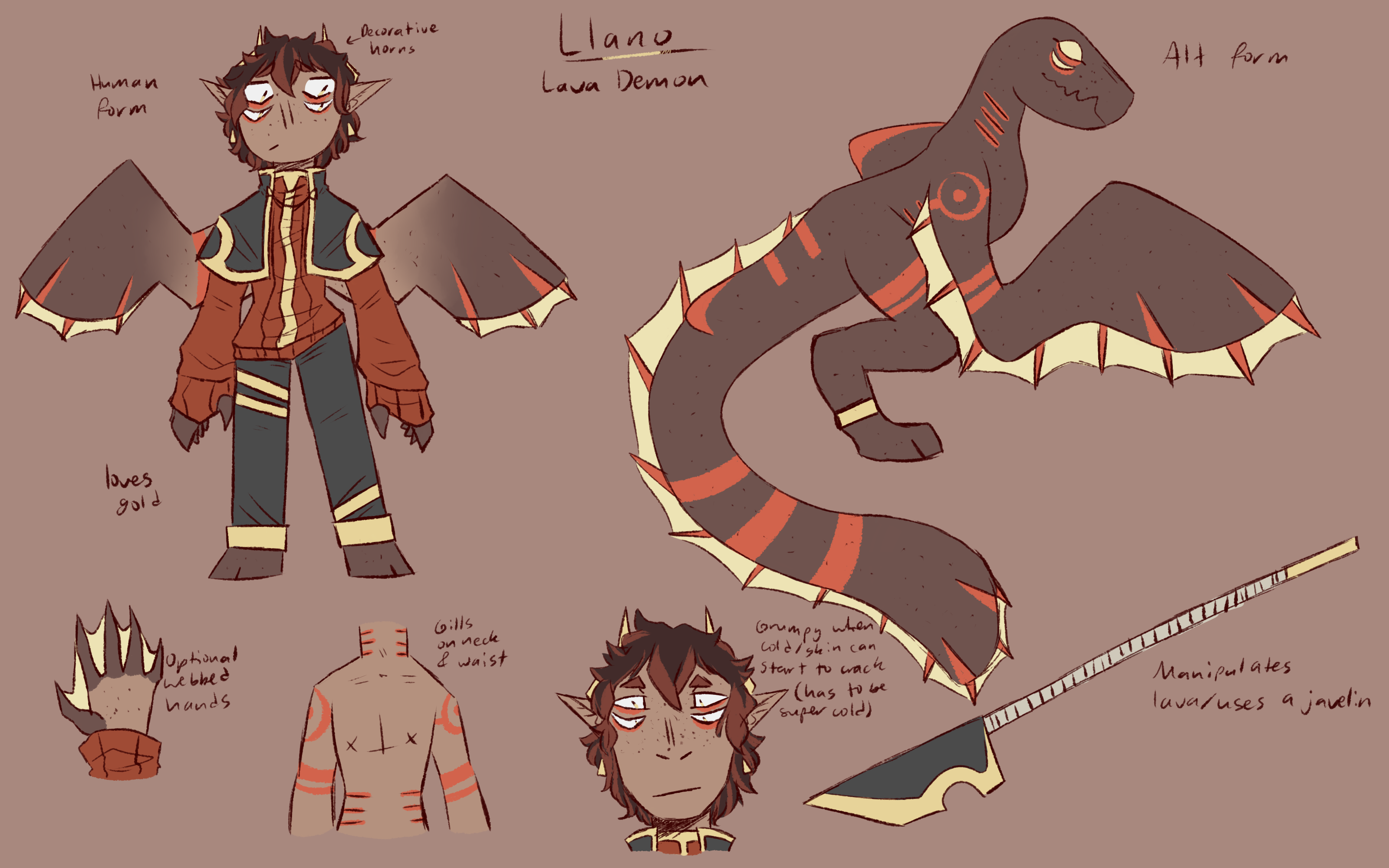 Llano Lonakke banner image