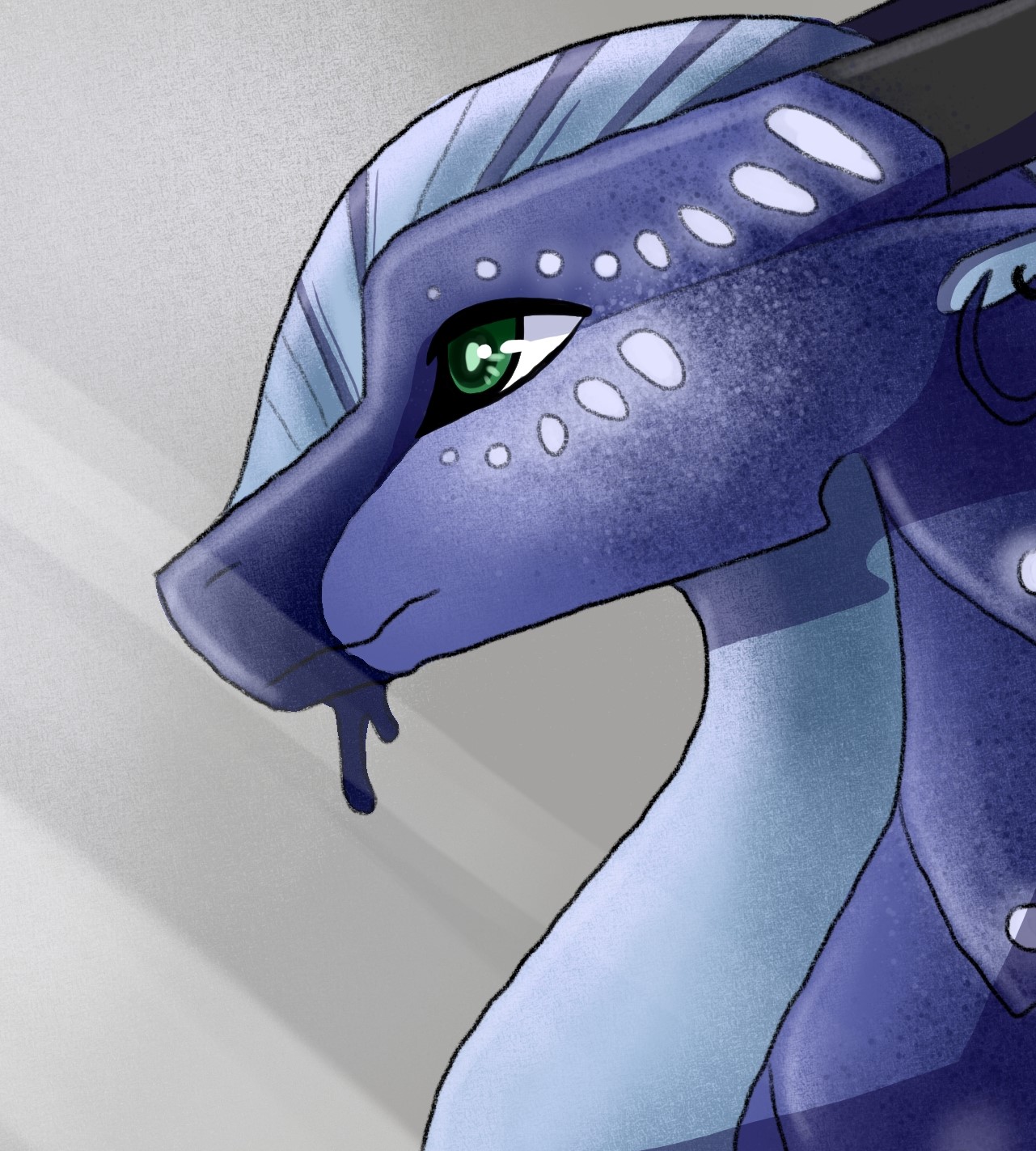 Reef banner image