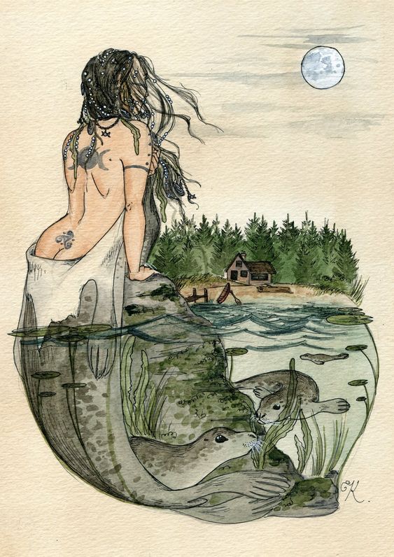 Selkie banner image
