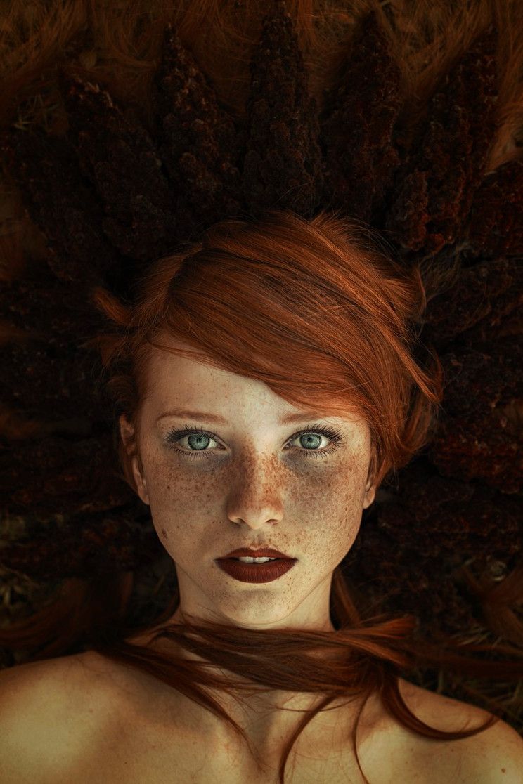 Wren Lovelace banner image
