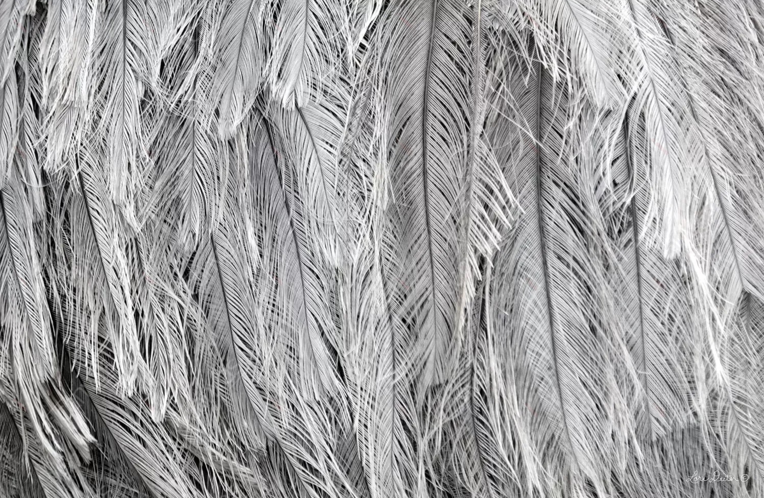 Alana Reragon banner image