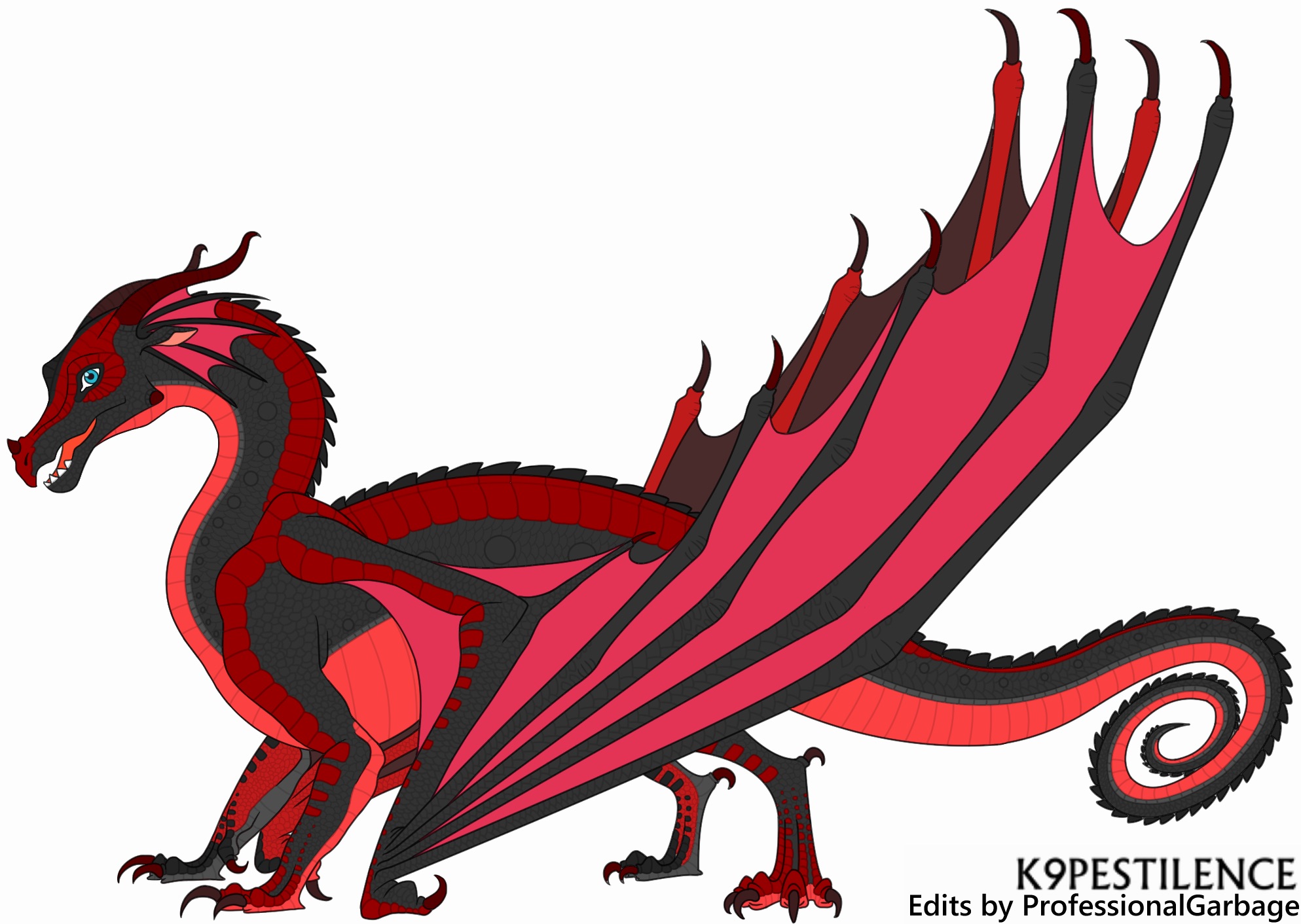 Siskin banner image