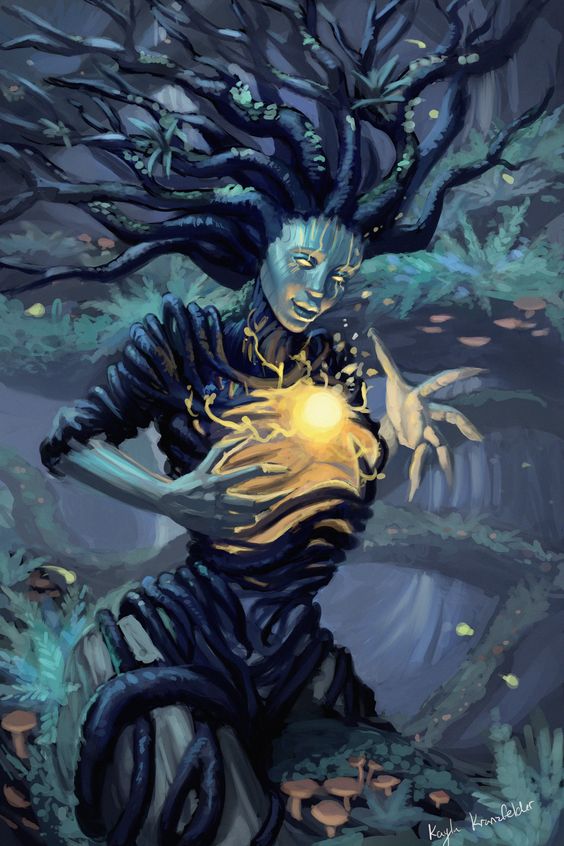 Dryads banner image