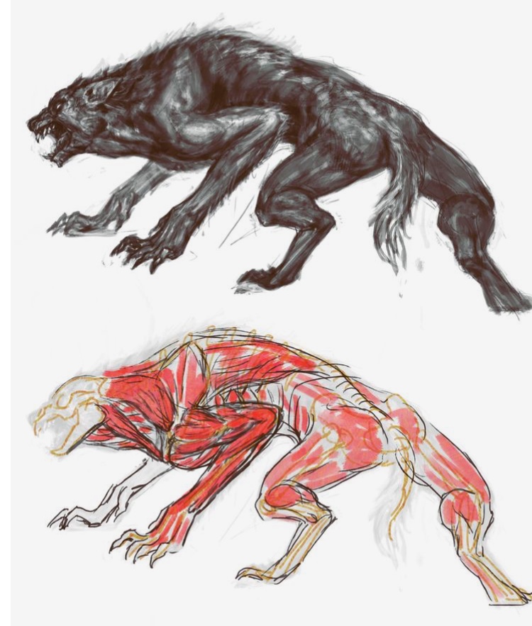 Lycanthrope banner image