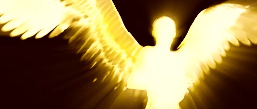 Albion banner image