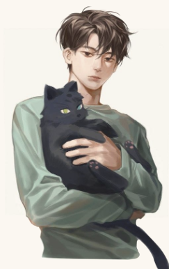Sho  banner image