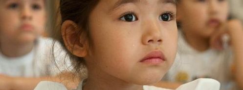 Rose Liu banner image