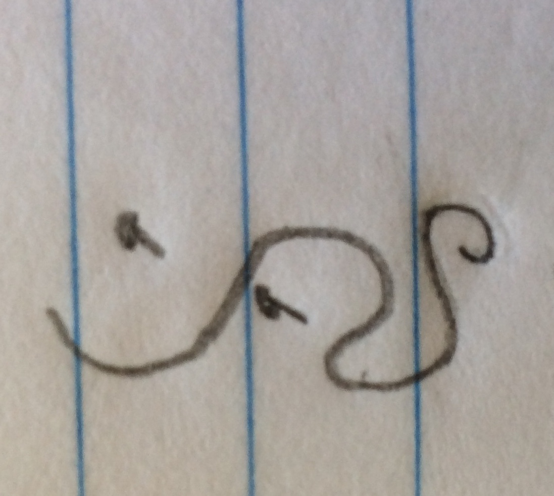 Hermon is snakey boi. banner image