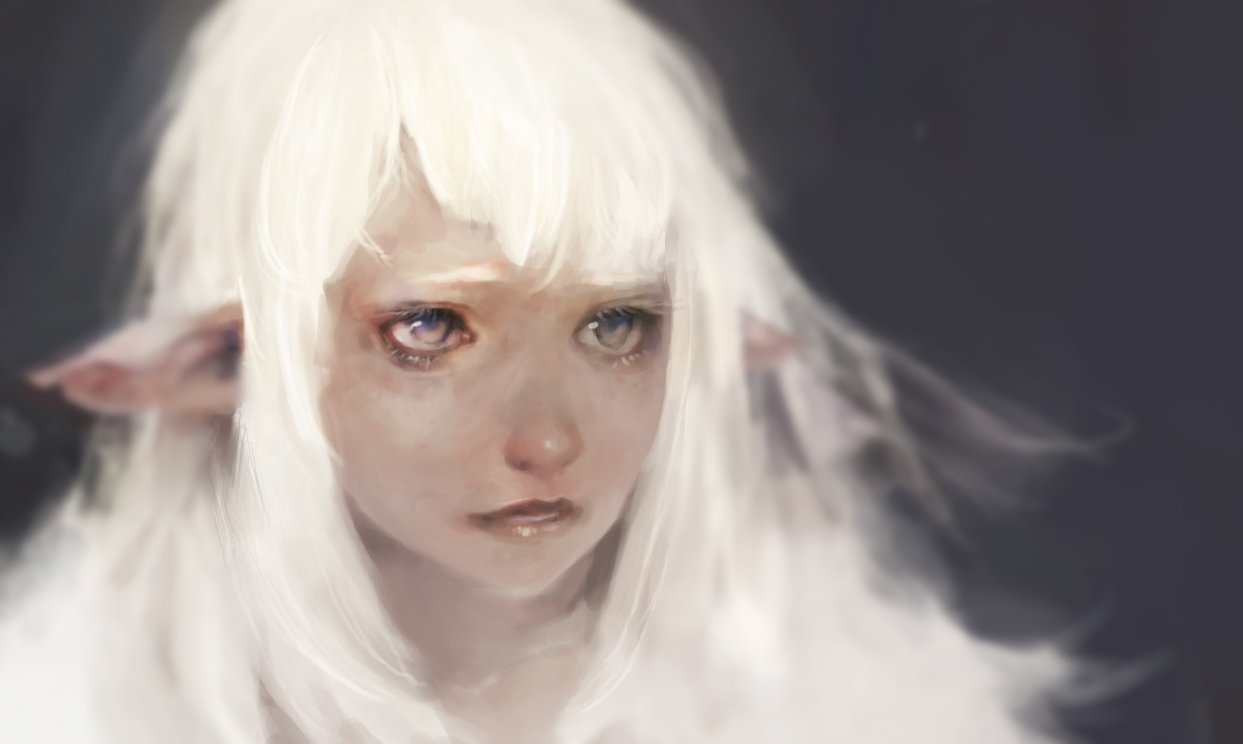 Sapha Zelnen banner image