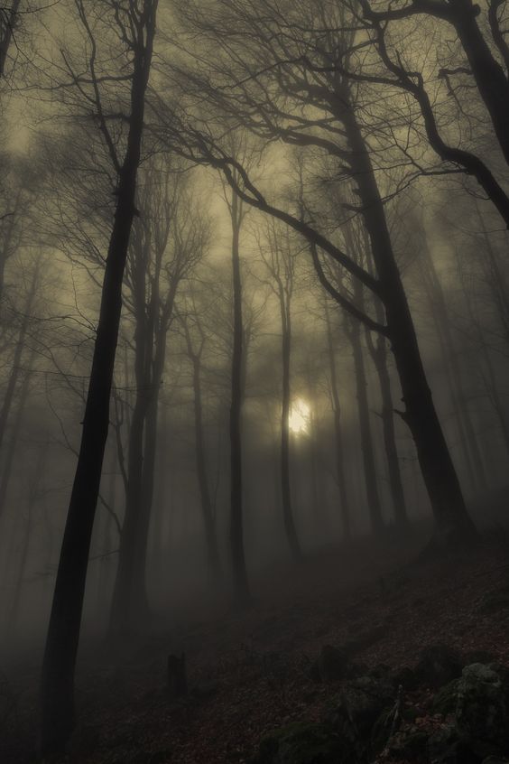 Der Totenacker [Eden] banner image