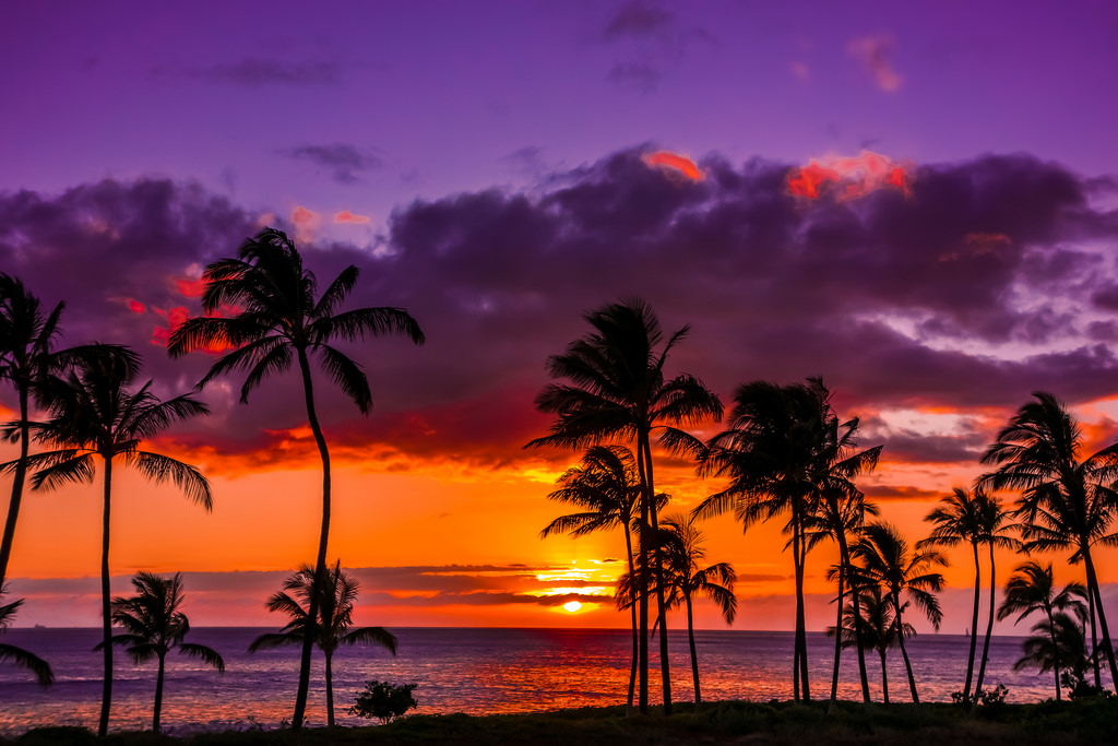 Oahu, Hawaii banner image