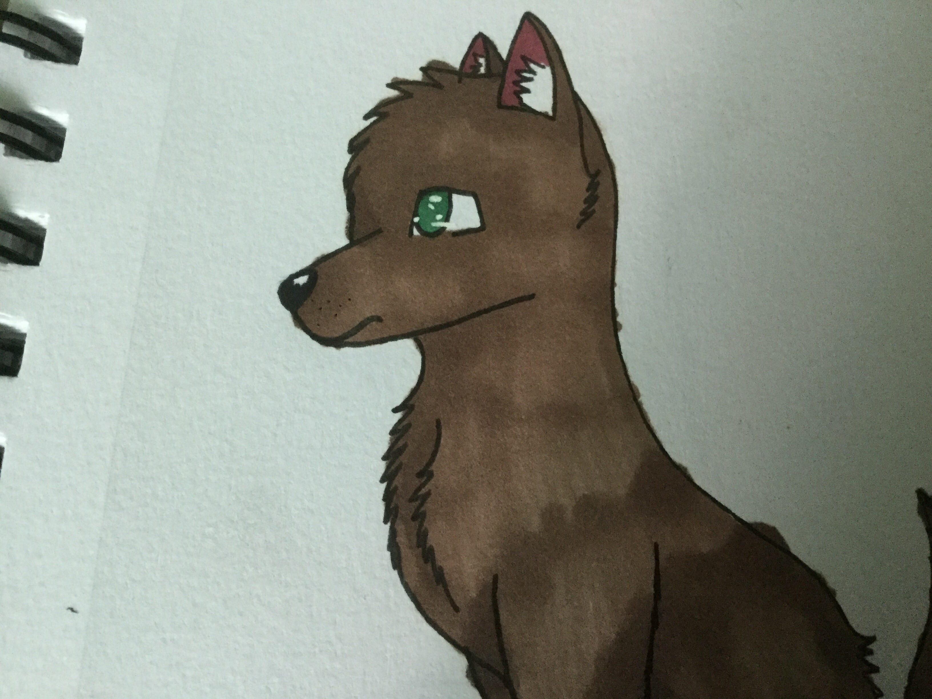 Barry banner image