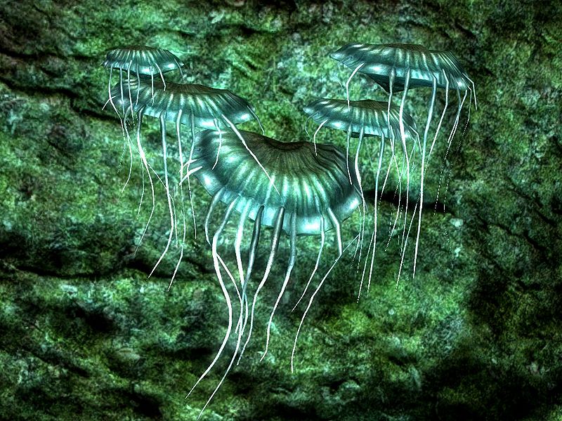 Glowing Mushroom banner image