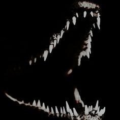 Conan Exoltias banner image