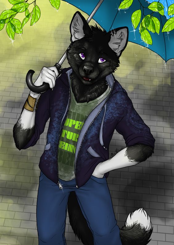 Paul banner image