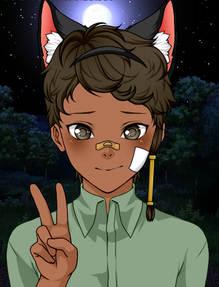 Cat banner image