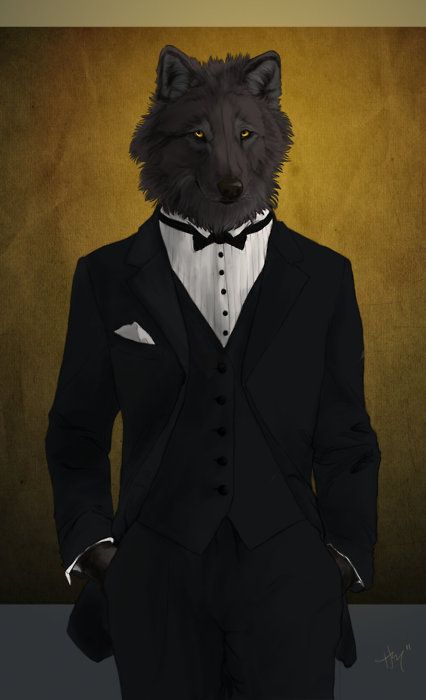 Canid banner image
