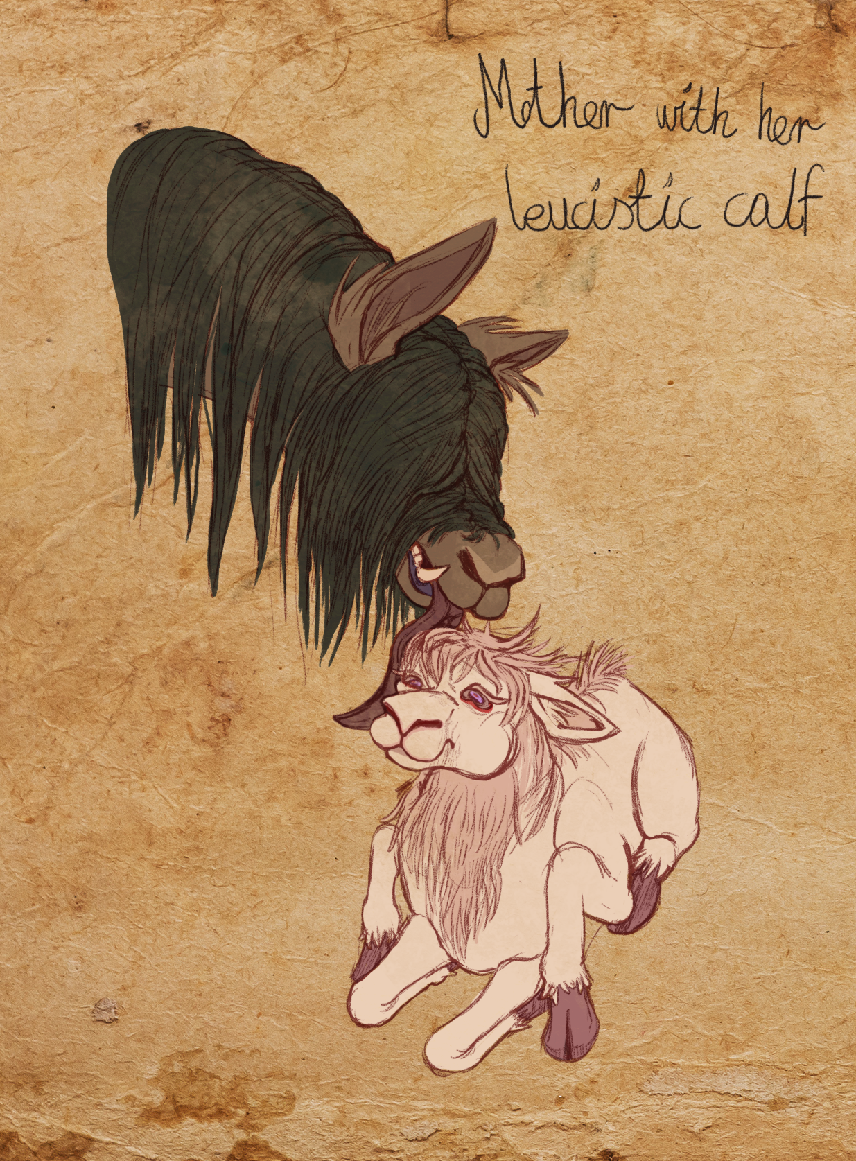 Grassland Oabbi banner image