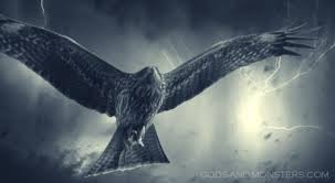 darkthorn banner image