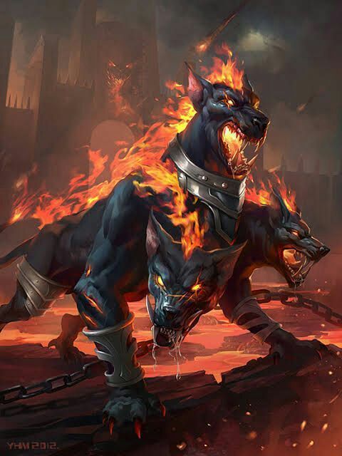 Cerberus  banner image