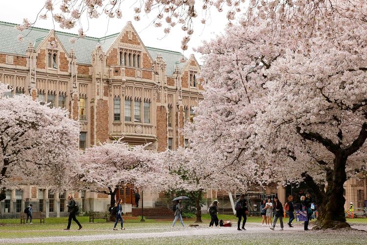 Ais Arts University  banner image
