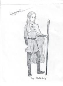 Wizomal banner image