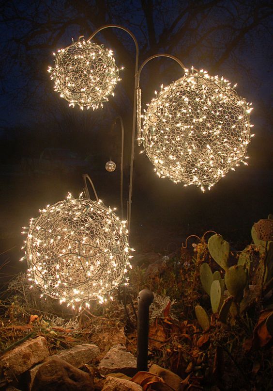 Torchleaf tree banner image