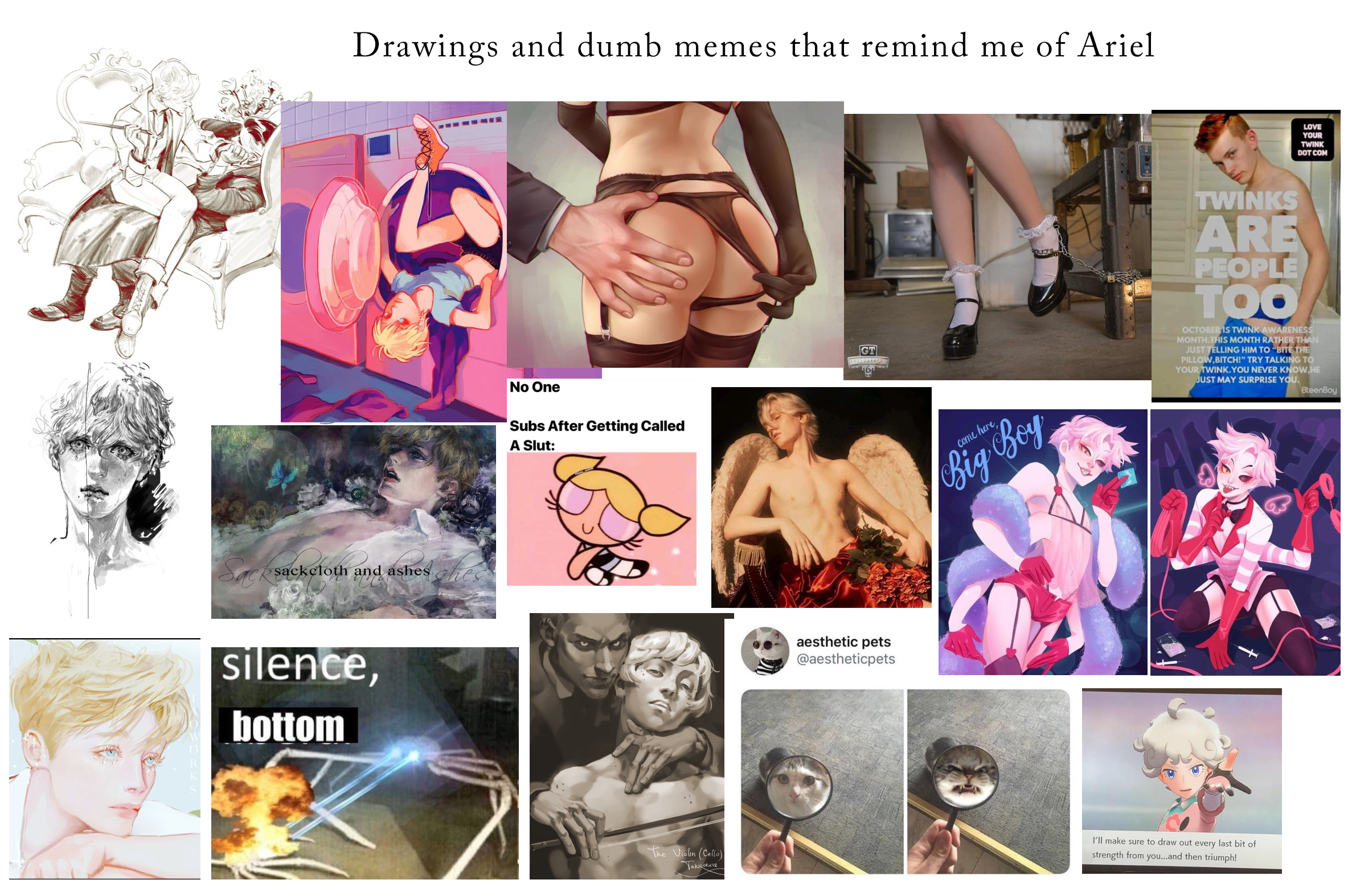 Ariel Warren banner image