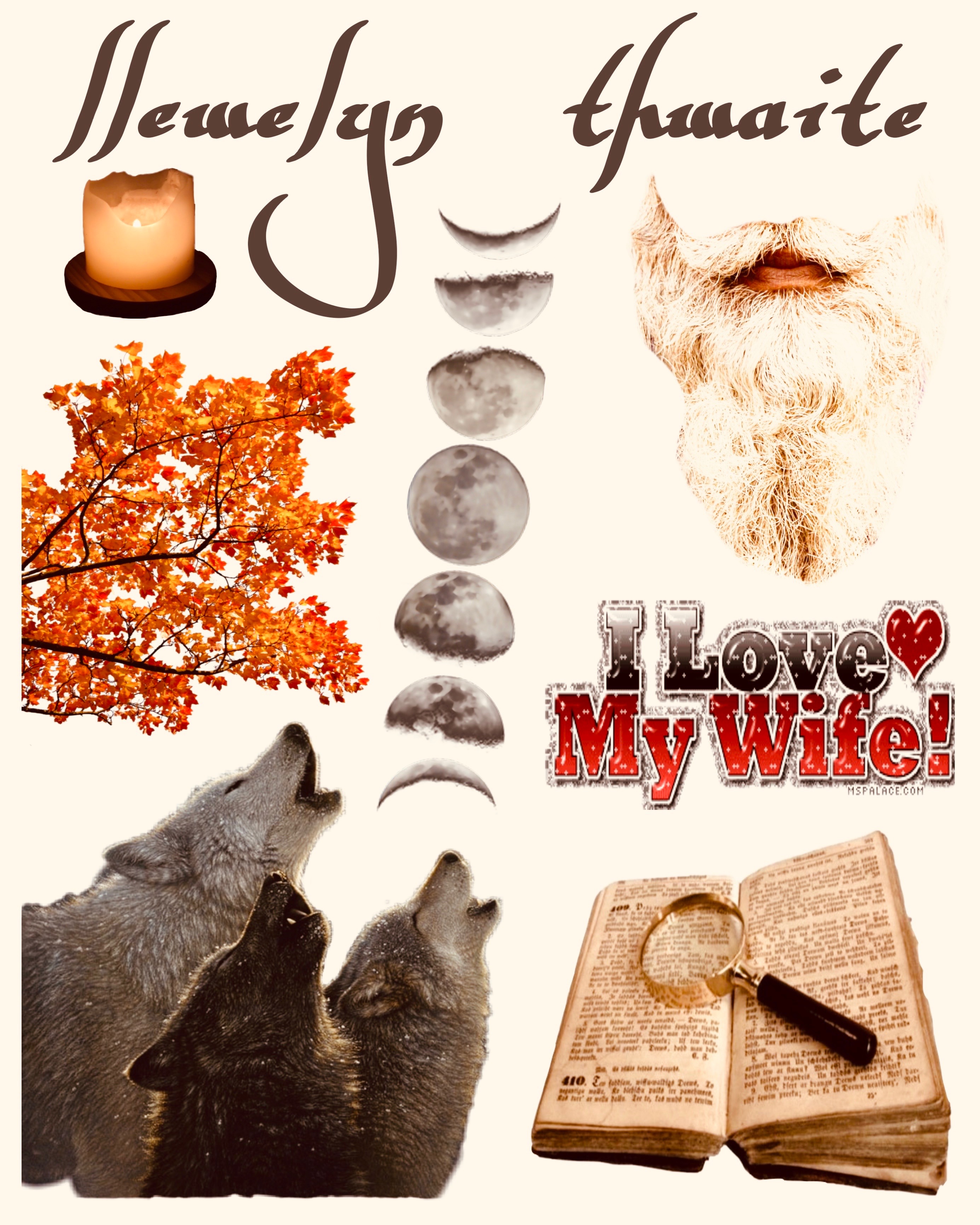 Llewelyn Thwaite banner image