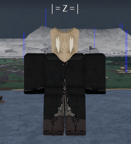 Z banner image