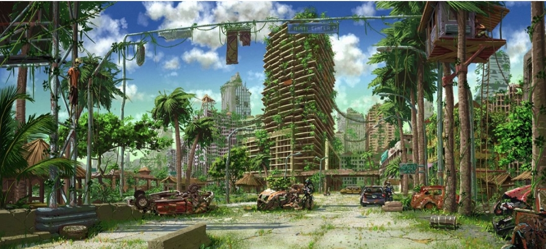 Miami banner image