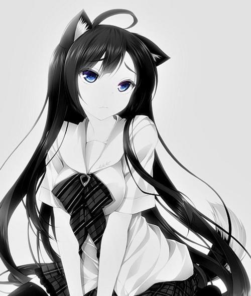 Bailey banner image