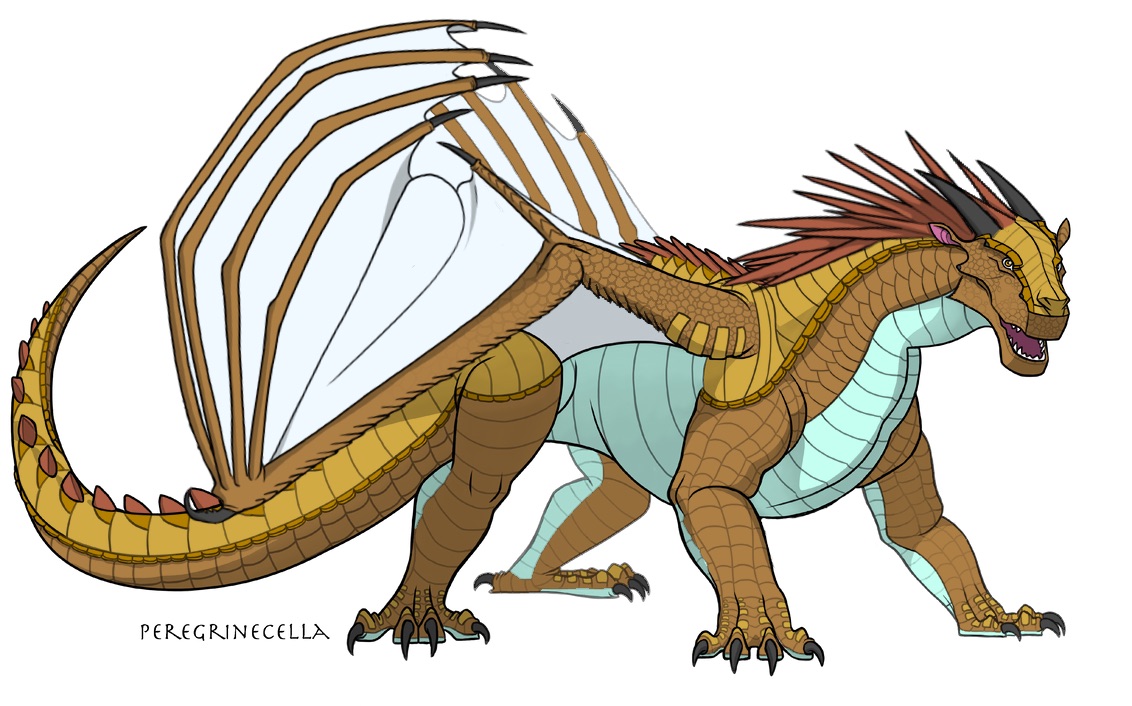 Moraine banner image