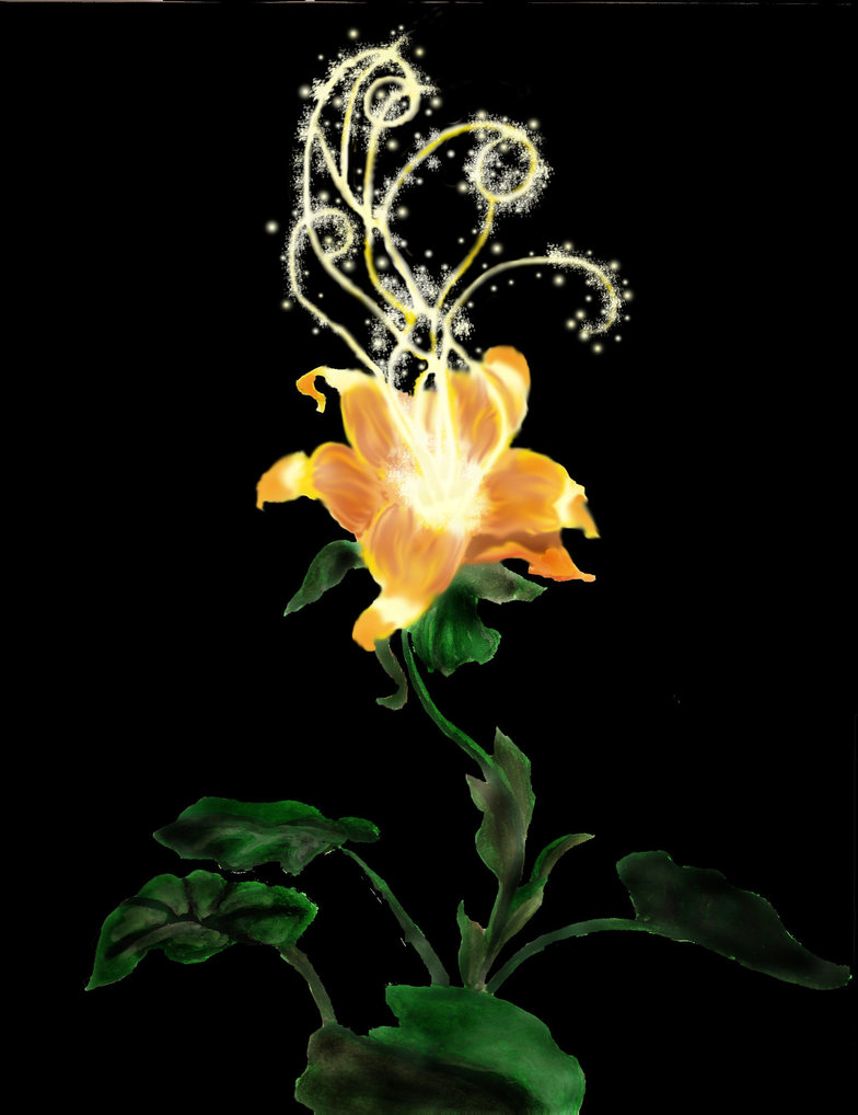 Florea (Cilvenas) banner image