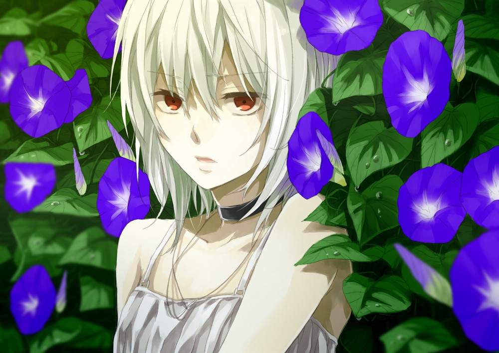 Vanth Ichihara banner image