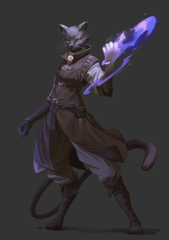 Dawn banner image