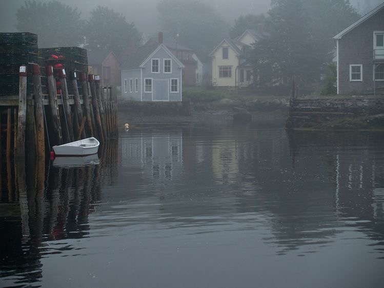 marblehill bay, maine banner image